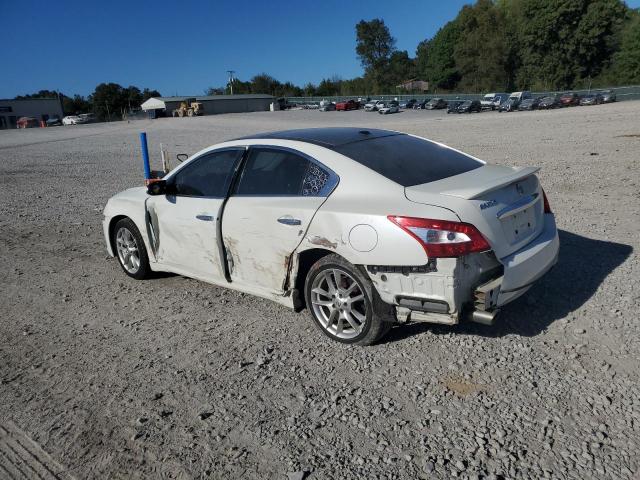 1N4AA5AP1BC858370 - 2011 NISSAN MAXIMA S WHITE photo 2