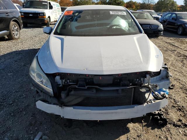 1G11C5SL4FU153152 - 2015 CHEVROLET MALIBU 1LT 白色 照片 5