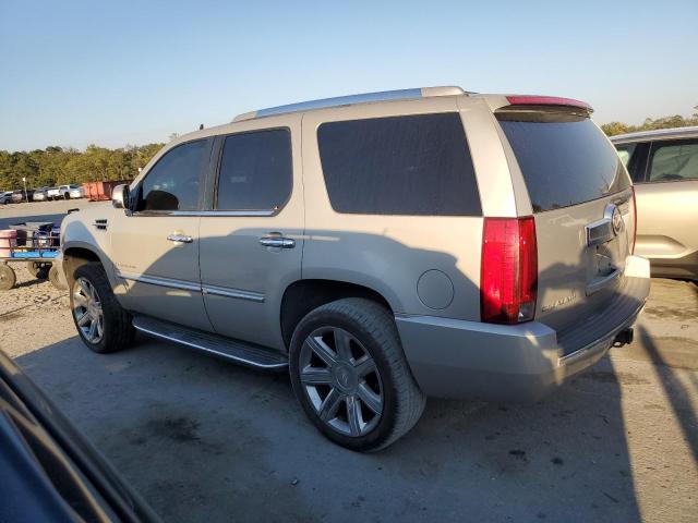 1GYFK63877R144766 - 2007 CADILLAC ESCALADE LUXURY TAN photo 2