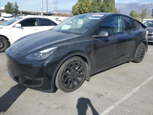 2023 TESLA MODEL Y, 