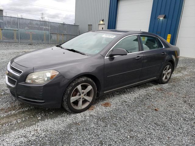 1G1ZC5EU2BF197365 - 2011 CHEVROLET MALIBU 1LT 黑色 照片 1