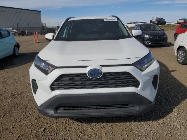 2T3BWRFV7LW084526 - 2020 TOYOTA RAV4 LE WHITE photo 5