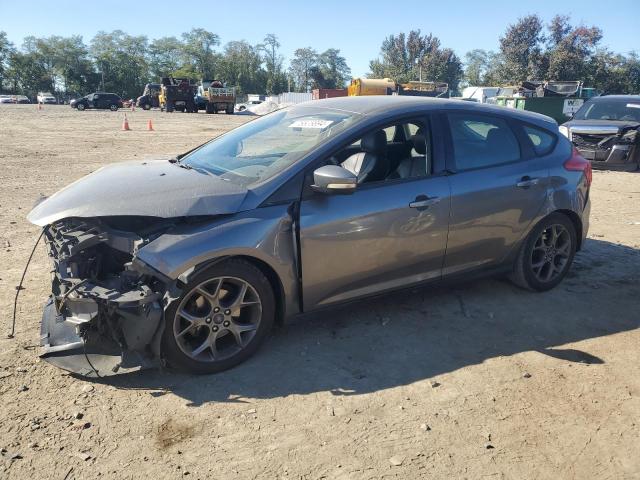 1FADP3K25DL293935 - 2013 FORD FOCUS SE GRAY photo 1