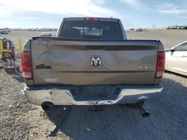 1D7RV1CT8AS198262 - 2010 DODGE RAM 1500 BEIGE photo 6