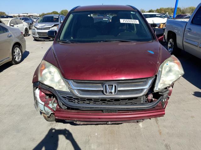 5J6RE3H44BL003058 - 2011 HONDA CR-V SE BURGUNDY photo 5