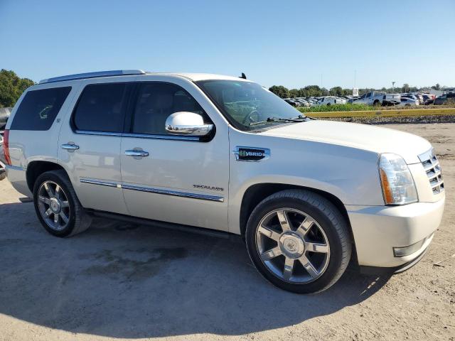 1GYUKEEJ9AR235644 - 2010 CADILLAC ESCALADE HYBRID BEIGE photo 4