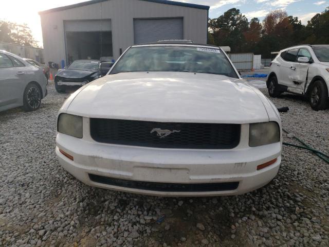 1ZVFT84N175303630 - 2007 FORD MUSTANG WHITE photo 5