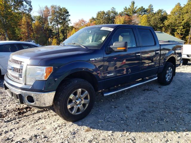 2014 FORD F150 SUPERCREW, 