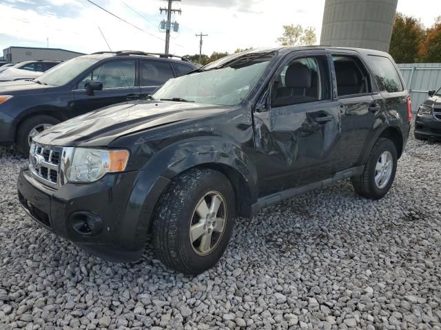 2010 FORD ESCAPE XLS, 