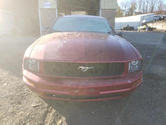 1ZVFT80N755159164 - 2005 FORD MUSTANG RED photo 5