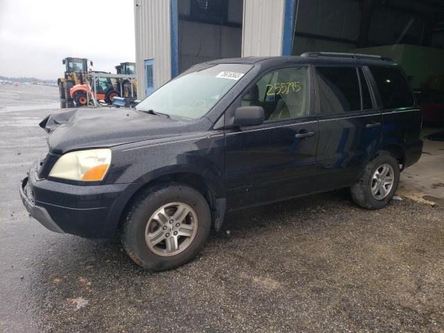 5FNYF18525B007094 - 2005 HONDA PILOT EXL BLACK photo 1