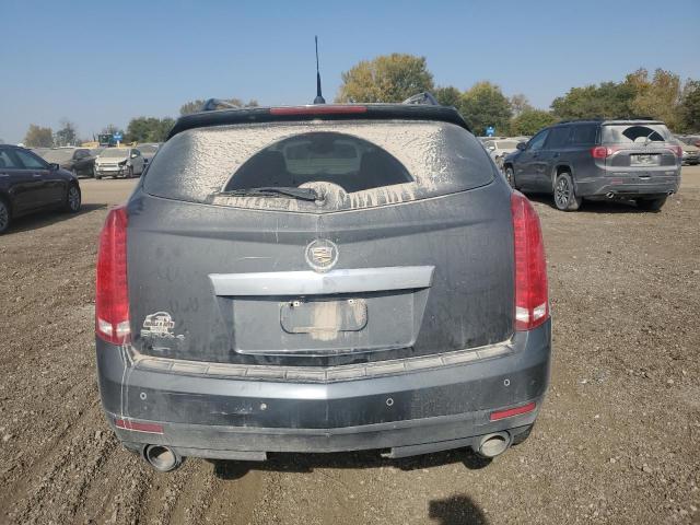 3GYFNDEYXAS614561 - 2010 CADILLAC SRX LUXURY COLLECTION GRAY photo 6