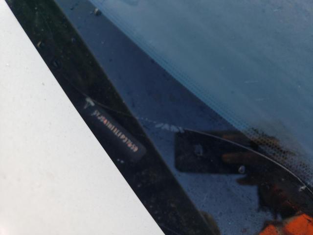 5YJSA1H11EFP37659 - 2014 TESLA MODEL S თეთრი ფოტო 12