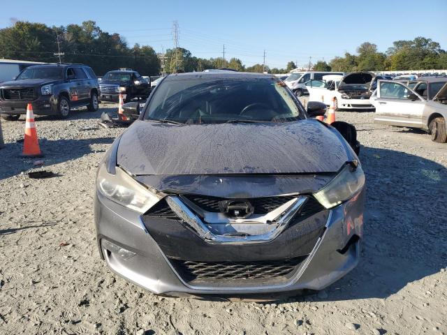 1N4AA6AP8GC403903 - 2016 NISSAN MAXIMA 3.5S GRAY photo 5