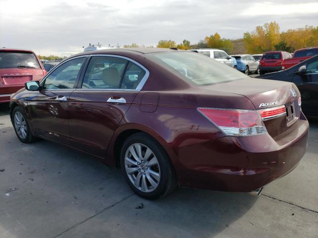 1HGCP3F80BA025759 - 2011 HONDA ACCORD EXL MAROON photo 2