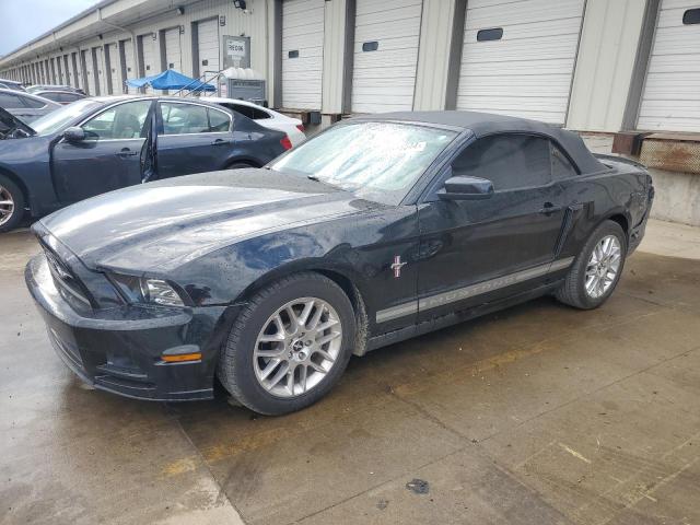 1ZVBP8EM8D5213136 - 2013 FORD MUSTANG BLACK photo 1