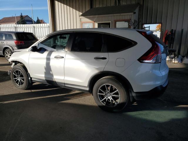 5J6RM4H31EL083262 - 2014 HONDA CR-V LX WHITE photo 2