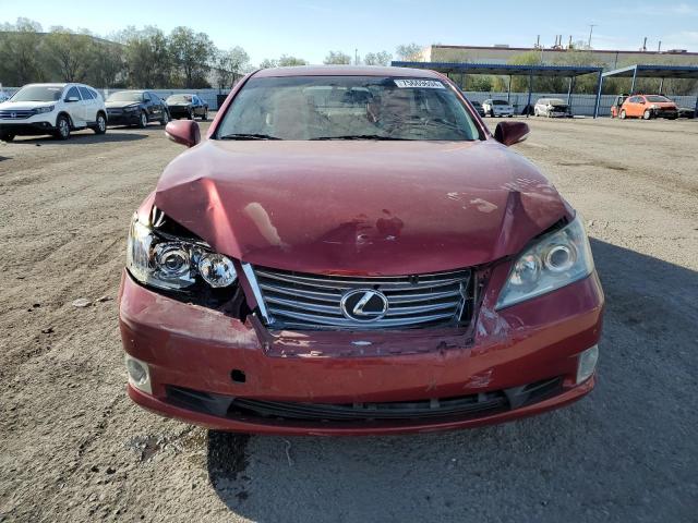 JTHBK1EG7A2398181 - 2010 LEXUS ES 350 RED photo 5