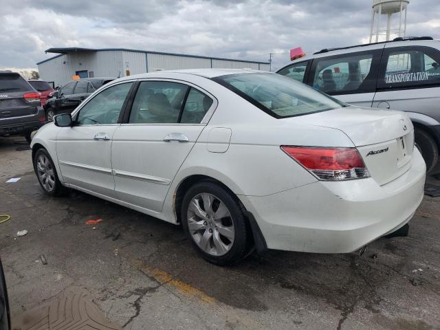 5KBCP3F82AB018804 - 2010 HONDA ACCORD EXL WHITE photo 2