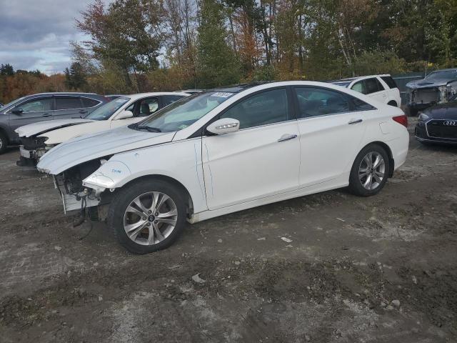 2013 HYUNDAI SONATA SE, 