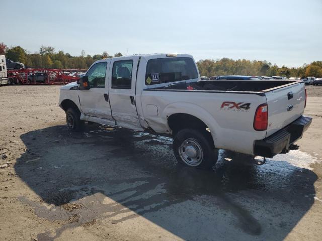 1FT7W2B68CED11743 - 2012 FORD F250 SUPER DUTY WHITE photo 2