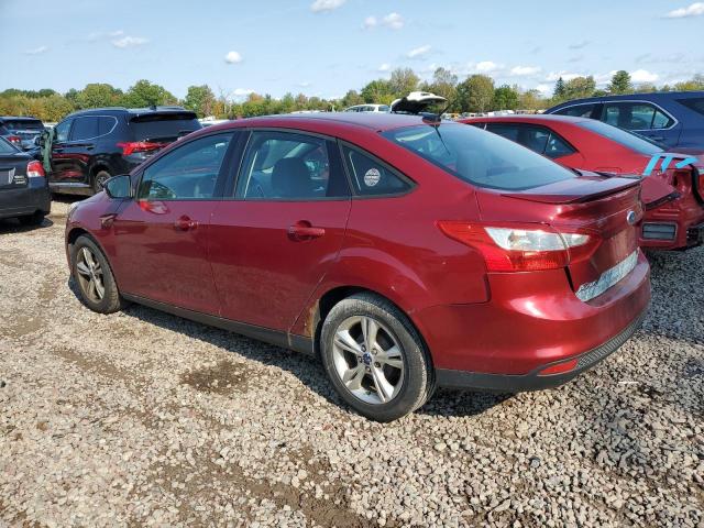 1FADP3F21DL250347 - 2013 FORD FOCUS SE MAROON photo 2