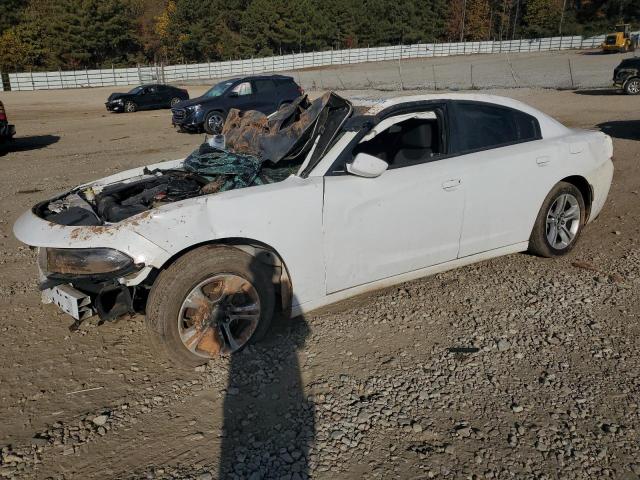 2C3CDXBG3FH768407 - 2015 DODGE CHARGER SE WHITE photo 1