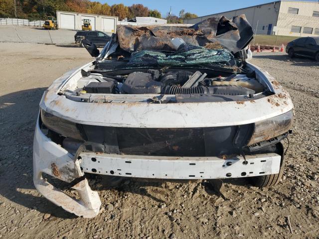 2C3CDXBG3FH768407 - 2015 DODGE CHARGER SE WHITE photo 5