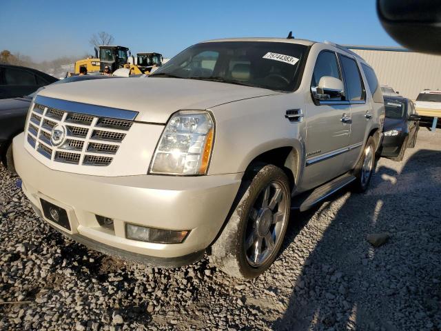 1GYUKBEFXAR266539 - 2010 CADILLAC ESCALADE LUXURY WHITE photo 1