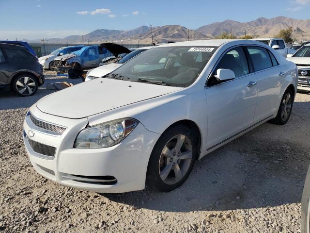 1G1ZC5E0XCF304337 - 2012 CHEVROLET MALIBU 1LT 白色 照片 1