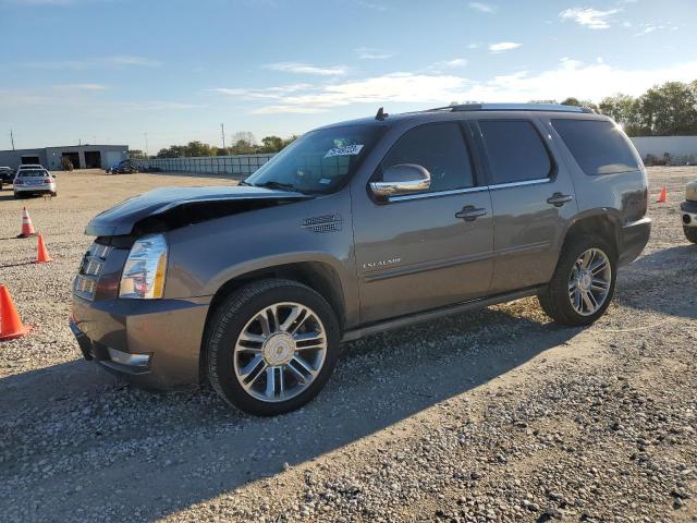 1GYS3CEF5DR233690 - 2013 CADILLAC ESCALADE PREMIUM BROWN photo 1