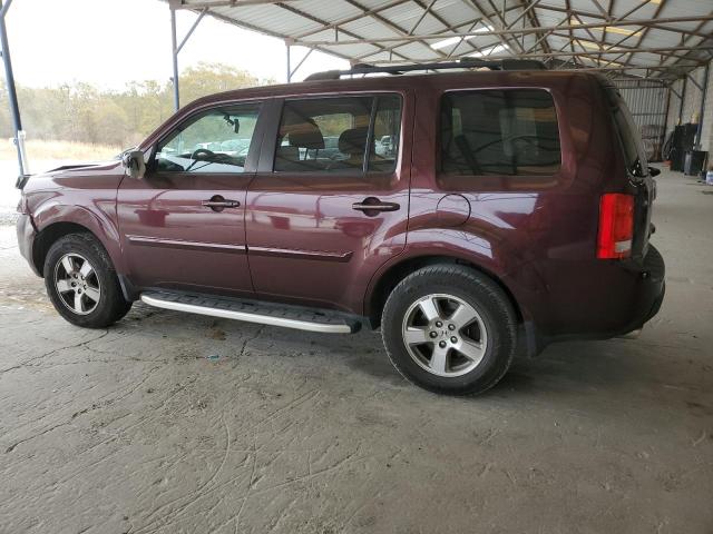 5FNYF3H67BB023369 - 2011 HONDA PILOT EXL BURGUNDY photo 2