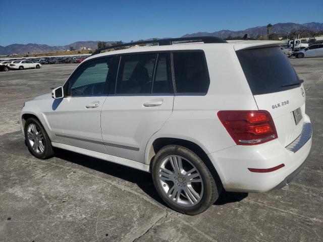 WDCGG0EB7DG153745 - 2013 MERCEDES-BENZ GLK 250 BLUETEC WHITE photo 2