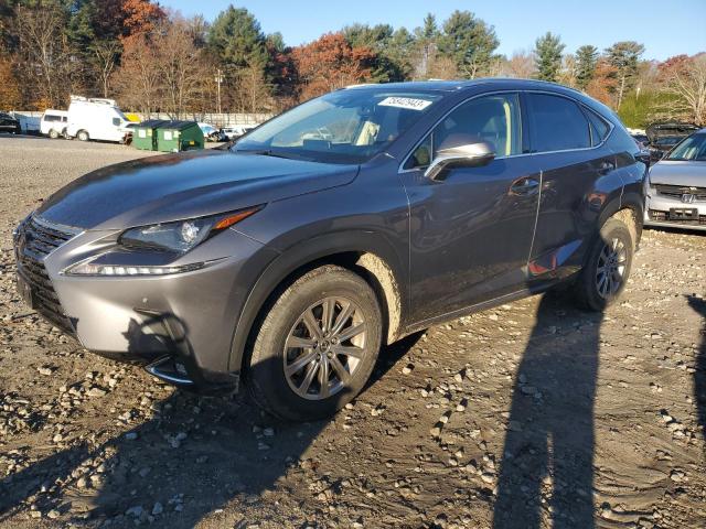 JTJDARDZ1M2260118 - 2021 LEXUS NX 300 BASE Boz foto 1