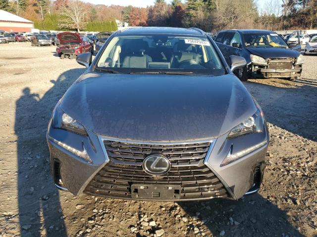 JTJDARDZ1M2260118 - 2021 LEXUS NX 300 BASE Boz foto 5