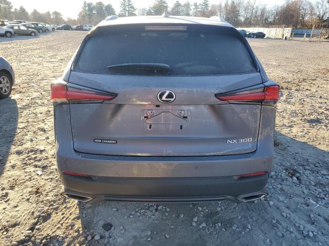 JTJDARDZ1M2260118 - 2021 LEXUS NX 300 BASE Boz foto 6