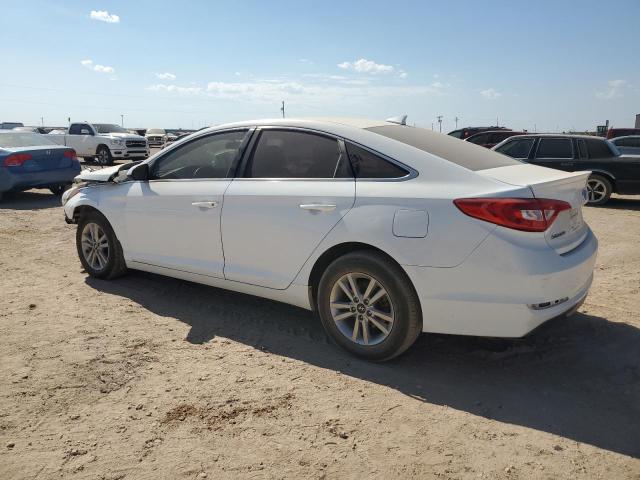 5NPE24AF4GH417628 - 2016 HYUNDAI SONATA SE WHITE photo 2