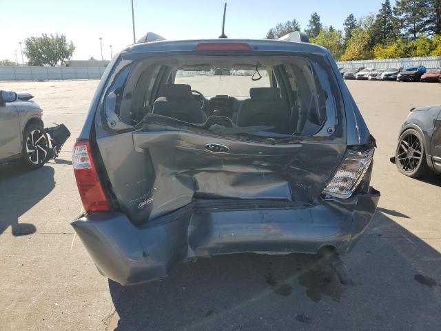 KNDMB233196314165 - 2009 KIA SEDONA EX GRAY photo 6