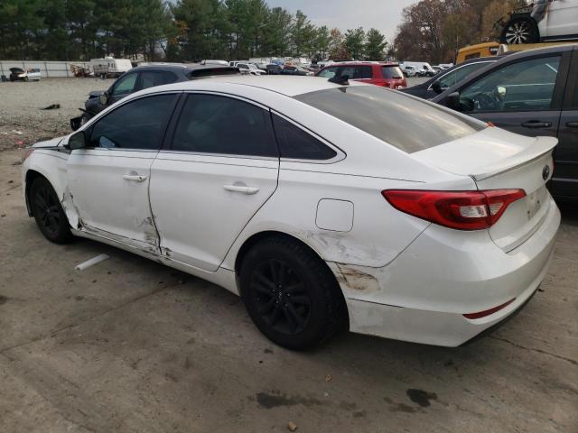 5NPE24AF6GH298755 - 2016 HYUNDAI SONATA SE WHITE photo 2