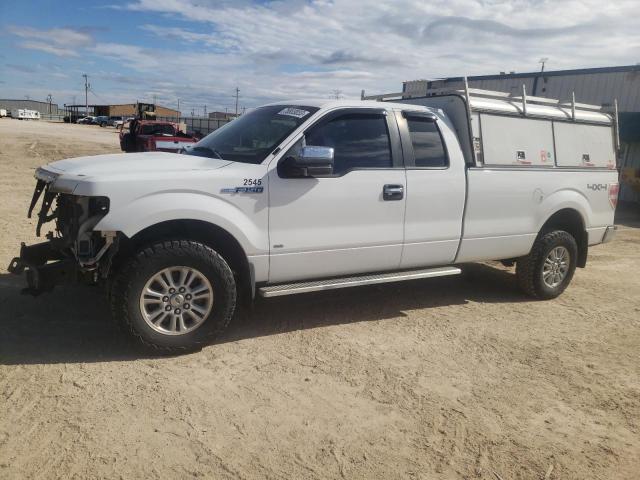 1FTVX1EFXBKD92545 - 2011 FORD F150 SUPER CAB WHITE photo 1