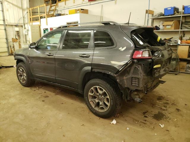 1C4PJMBN4LD616079 - 2020 JEEP CHEROKEE TRAILHAWK GRAY photo 2