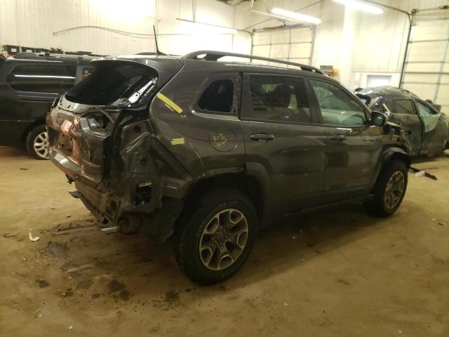 1C4PJMBN4LD616079 - 2020 JEEP CHEROKEE TRAILHAWK GRAY photo 3