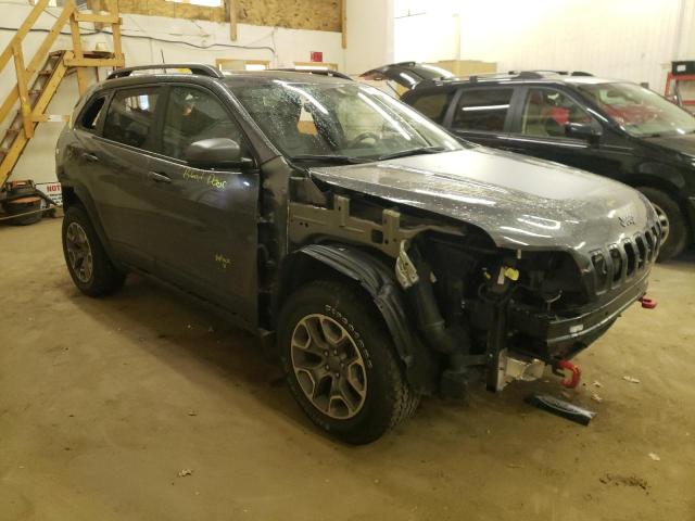 1C4PJMBN4LD616079 - 2020 JEEP CHEROKEE TRAILHAWK GRAY photo 4