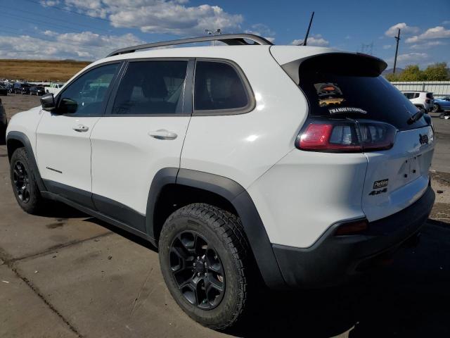 1C4PJMBX3KD469432 - 2019 JEEP CHEROKEE TRAILHAWK 白色 照片 2