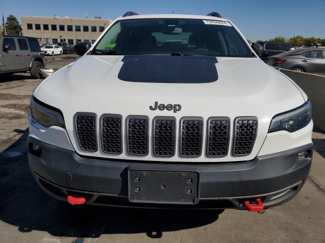 1C4PJMBX3KD469432 - 2019 JEEP CHEROKEE TRAILHAWK 白色 照片 5