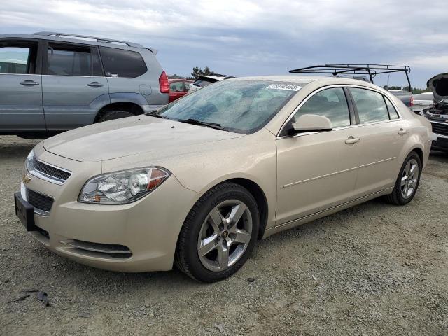 1G1ZC5E08AF198323 - 2010 CHEVROLET MALIBU 1LT 金色 照片 1