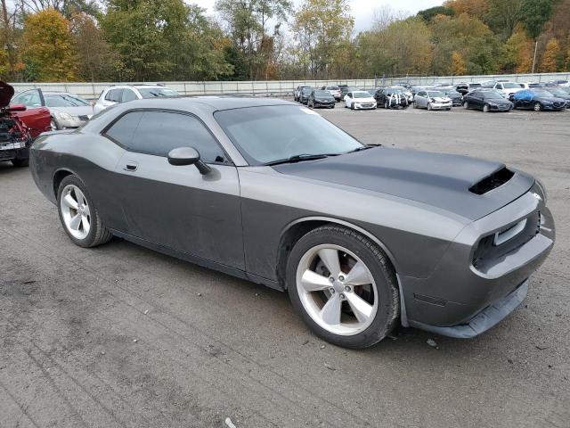 2B3CJ5DT8AH109266 - 2010 DODGE CHALLENGER R/T GRAY photo 4