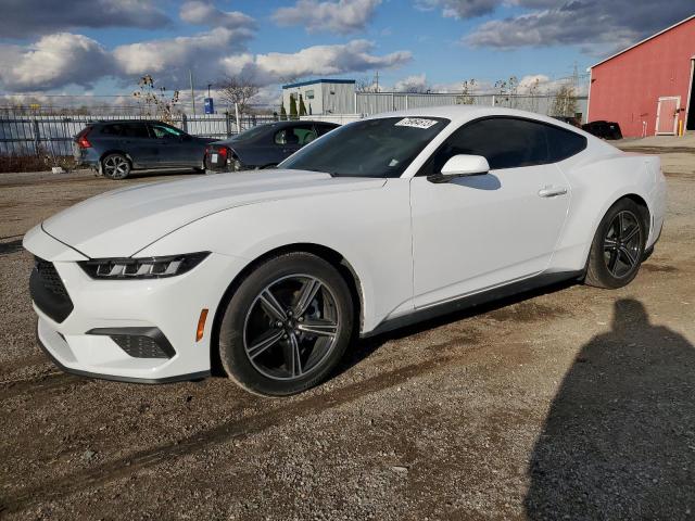1FA6P8TH6R5106125 - 2024 FORD MUSTANG WHITE photo 1