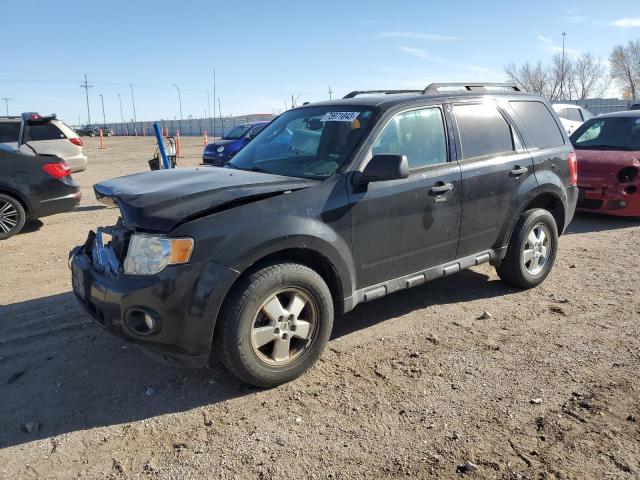 1FMCU0D73BKB72681 - 2011 FORD ESCAPE XLT BLACK photo 1