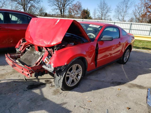 1ZVBP8AN9A5162126 - 2010 FORD MUSTANG RED photo 1